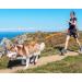 I-DOG Zugleine CanicRoss One - Premium Dog Leash for Safe International Walks - Buy Online on GoSupps.com