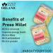 Blessfull Healing Organice PROSO Millet 1 lb (453 Gram) - Buy Online on GoSupps.com