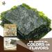 KIMNORI Kwangcheonkim Seasoned Seaweed Snacks - 12 Individual Packs, Premium Roasted Laver Nori Sheets - 4g (0.14 Ounce) Each - Pack of 12 - Buy Online on GoSupps.com