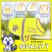 4Legriend Yellow Reflective Safety Vest for Dogs - 2 Pack Small | Keep Your Dog Visible & Safe from Cars & Hunting Accidents - Buy Online on GoSupps.com