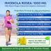 Rhodiola Rosea Max Strength Supplement - 180 Capsules with Black Pepper for Absorption - Stress Relief & Energy Boost - 500mg Per Cap - Buy Online on GoSupps.com