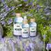 Humphrey's Witch Hazel Organic Toner with Lavender | Calm & Clarify - 8 fl oz - Buy Online on GoSupps.com