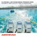 AIRHEAD Heavy Duty Tow Harness for 1-4 Rider Towables - 12ft | Ideal for Water Skis, Wakesurf & Wakeboards - Buy Online on GoSupps.com