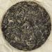 Pu-erh tea 2021 SHENG JIA YUAN - Eighteen Villages of Mengku -Bawai 357g Raw - Buy Online on GoSupps.com