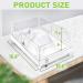 Orlushy Turtle Tank: Anti-Escaping Reptile Terrarium with Drainage Outlet | Ideal for Turtles, Crayfish, Crab, and Lizard | Multi-Functional Design - Buy Online on GoSupps.com