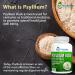 Psyllium Husk Caps 725mg | All Natural Fiber Supplement | 240 Capsules | Supports Healthy Digestion | Made in USA - Buy Online on GoSupps.com