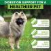 Tummy Relief for Dogs - Fast-Acting Diarrhea Treatment & Stomach Settler - Gut Health Supplement - Liquid Medicine for Upset Stomach - 250ml - Buy Online on GoSupps.com