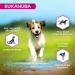EUKANUBA Grain Free Dog Food Puppy & Junior Small & Medium Breeds Rich in Fish 12kg - Buy Online on GoSupps.com