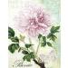 Vintage Flower Theme Mulberry Rice Paper 8x10.5 inch - 6 Different Printed Images for Decoupage Crafts and Mixed Media Art - Buy Online on GoSupps.com