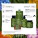 Alfaparf Milano Benvoleo Hydration Rich Conditioner - Vegan Sustainable Hair Care for Dry Hair - 33.8 Fl. Oz. - Hydrates & Nourishes Naturally - Buy Online on GoSupps.com