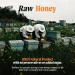 Organic Raw Buckwheat Honey 1 kg | 100% Natural & Unfiltered from Hive | Unheated Flavor Profile - Buy Online on GoSupps.com