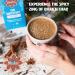 Bhakti Fair Trade Vegan Premium Chai Tea Concentrate 2-Pack - Original Flavor - 64 Fl Oz Total - Buy Online on GoSupps.com