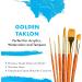 Princeton Real Value Series 9100 Paint Brush Set - Syn-Gold Taklon for Acrylic, Oil, and Watercolor Painting - 9 Piece Variety Pack - Buy Online on GoSupps.com