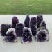 Natural Amethyst Geode Quartz Cluster Crystal Specimen Stone ERTEYIN (Size : 440-500g) - Buy Online on GoSupps.com