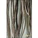 Grizzly Extensions Clip-In Feather Extensions - Black & White for Blonde Hair | Premium Quality & Easy Application - Buy Online on GoSupps.com