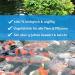 KOIPON Pon-Vital 2.5 kg 100% Biological Filamentous Algae Killer for Garden Ponds | Eco-Friendly Algae Control - Buy Online on GoSupps.com