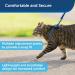 PetSafe Come With Me Kitty Harness & Bungee Leash - Large Royal Blue/Navy | Best Cat Harness for International Shipping - Buy Online on GoSupps.com