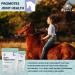 PURICA Equine Vegan MSM Powder - Pure & Organic Horse Supplement for Joint Support 1kg 1 kg (Pack of 1) - Buy Online on GoSupps.com