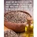 Sun & Seed Organic Hemp Seed Protein Powder - 300g - High Protein & Fiber, Low Fat - 100% Organic, Vegan-Friendly - Buy Online on GoSupps.com