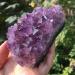 Crystal Decoration Natural Raw Amethyst Quartz Purple Crystal Cluster Stones Specimen Home Decor Beautiful Gifts Crystal Cluster (Size : 260-300g) - Buy Online on GoSupps.com