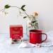 Buy Teeccino Organic Mushroom Herbal Tea - Chaga & Ashwagandha, Caffeine-Free, 10 Bags - Buy Online on GoSupps.com
