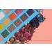 SpongeBob SquarePants Wet n Wild Eyeshadow Palette & Makeup Pigments â€“ Nautical Nonsense 0.82 oz - Buy Online on GoSupps.com