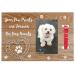 Sort it Rite Dog Memorial Picture Frame - Perfect Loss of Dog Gift, Ideal Pet Memorial Gift for Dogs & Cats, Special Pet Memorial Picture Frame with Heartfelt Quote, Holds 4x6" Photo (Natural) Beige