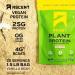 Ascent Plant Based Protein Powder - Vanilla | Non Dairy Vegan Protein with BCAAs and Leucine | Soy & Gluten Free - 20 Servings (Pack of 1) - Buy Online on GoSupps.com