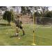 Premium Reactive Cones - Enhance Agility and Speed Training - Buy Online on GoSupps.com