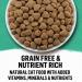 Purina Beyond Grain-Free Ocean Whitefish & Egg Cat Food 3lb - Natural Adult Dry Food - Buy Online on GoSupps.com