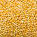 Kidu Popcorn Kernels Bulk Pack For Carnivals, Parties Summer Outdoor Events (4 Pound) 4 Pound (Pack of 1)