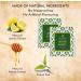 Octavius Lemon Honey Green Tea - 100 Enveloped Double Chamber Tea Bags - Perfect for Tea Lovers - Pack of 1 - Buy Online on GoSupps.com