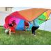12ft Rainbow Parachute Toy for Kids - Cooperative Play Gym Class Equipment with 8 Handles - Waterproof & Reinforced Stitching - Buy Online on GoSupps.com
