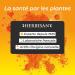 HERBESAN - DEFENSE COMPLEX - 20 active ingredients - Immunity booster - Made in France - 30 tablets to swallow - Buy Online on GoSupps.com