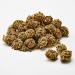 Kaytee Forti Diet Pro Health Parrot Bits 4.5oz Nutritious Parrot Treat - Buy Online on GoSupps.com