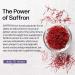 Buy Pure Saffron Extract for Weight Loss | Natural Appetite Suppressant & Craving Control | Energy & Mood Boost | 90 Capsules Made in USA - Buy Online on GoSupps.com