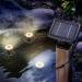 Esotec Solar Underwater Light Set - 3 Warm White 3000K LED Lamps for Garden Ponds | 1W Solar Module | IP68 Waterproof Pond Lighting - Buy Online on GoSupps.com