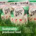 GrubTerra Natural Black Soldier Fly Larvae Chicken Treats Made in USA & Canada | 1lb Pack - 75x More Calcium | For Chickens, Ducks, & Wild Birds - Buy Online on GoSupps.com