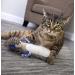 Petlinks Catnip & Silvervine Meercat Crinkle Kicker Toy Set - Buy Online on GoSupps.com
