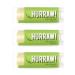 Hurraw! Mint Lip Balm  3 Pack: Organic  Certified Vegan  Cruelty and Gluten Free. Non-GMO  100% Natural Ingredients. Bee  Shea  Soy and Palm Free. Made in USA Mint 3 Count (Pack of 1)