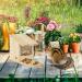 Relaxdays Squirrel Feeder House Feeding Station Box Standing Wooden HWD: 17.5 x 12 x 25 cm Flamed - Buy Online on GoSupps.com