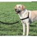 PetSafe Easy Walk Harness - Anti-Pull Dog Harness Reduces Choking & Coughing Includes 1.8M Leash Size XL - Black - Buy Online on GoSupps.com