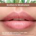 Quantum Health Lip Clear Lysine+ Cold Sore Treatment Ointment - Transparent 0.25 Oz (Pack of 1) - Buy Online on GoSupps.com