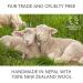 Organic Wool Dryer Balls - Friendsheep 3 Pack XL | Reusable Cruelty-Free Fair Trade Fabric Softener | No Lint | Eco-Friendly Laundry Solution - Buy Online on GoSupps.com