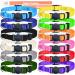 Gamuda Small pet neck straps super soft nylon gelpin collar adjustable scattered straps for puppies monochrome dog collar with 2 recording tables 12 Set (m) medium