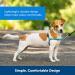 PetSafe Easy Walk No-Pull Dog Harness, Black/Silver, M/L - Buy Online on GoSupps.com