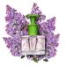 Caswell-Massey Lilac Eau de Toilette Delicate & Elegant Floral Fragrance Inspired by New York Botanical Garden Sample Size Vial 0.25 Fl Oz Lilac 0.25 Fl Oz (Pack of 1) - Buy Online on GoSupps.com