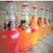 Organic Kombucha SCOBY Starter Culture - Live Golden Strain | FBA_LEPAZC5747 - Buy Online on GoSupps.com