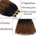 35.5cm Ombre Water Wave Crochet Hair Braiding Extensions 3 Pieces Black to Light Auburn Curly Weaving Hair Braids for International Shipping - Buy Online on GoSupps.com