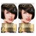 L'Oreal Paris Superior Preference Fade-Defying + Shine Permanent Hair Color  4 Dark Brown  Pack of 2  Hair Dye 4 Dark Brown 2 Count (Pack of 1)